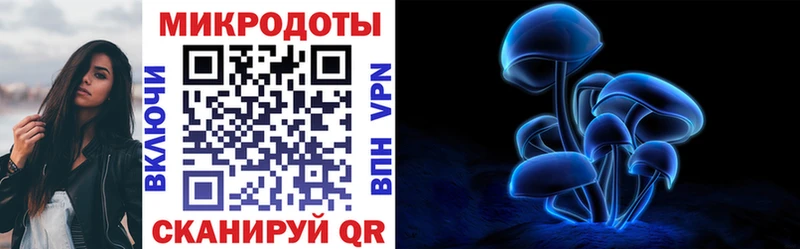 Псилоцибиновые грибы Psilocybine cubensis  KRAKEN маркетплейс  Кондопога 