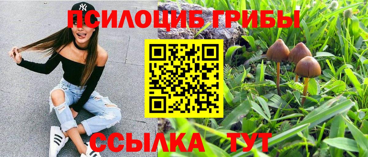 Галлюциногенные грибы Psilocybe  Вход с VPN  Кондопога 
