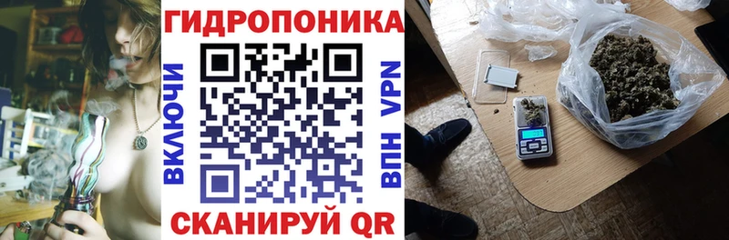 Каннабис семена  Кондопога 